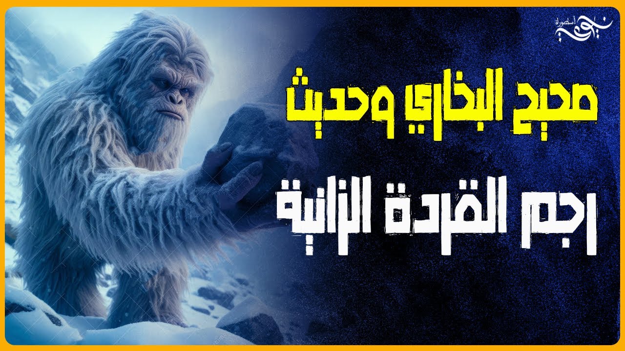 صحيح البخاري وحديث رجم القردة الزانية - YouTube