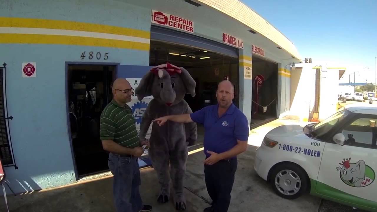 Pest Control Nozzle Nolen Videos Lake Worth, West Palm Beach