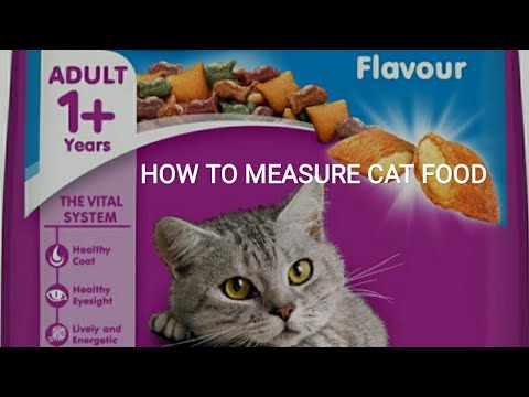 Cat Food Whiskas Ocean Fish Review | How To Measure Cat Food