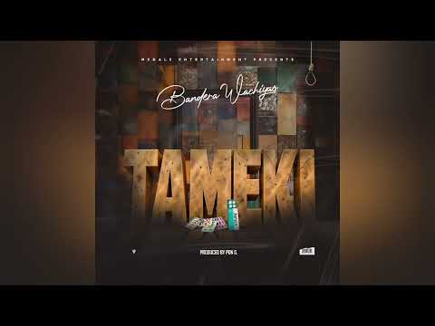 Bandera Wachiyao - Tameki (Official Audio)