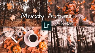 How to Edit Moody Autumn Preset - Lightroom Mobile Presets | Moody Autumn Edit | Moody Autumn Effect screenshot 5