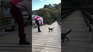 Krka Waterfalls National Park,