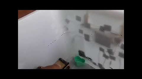 Home Hamster Healthy, Coded with Arduino