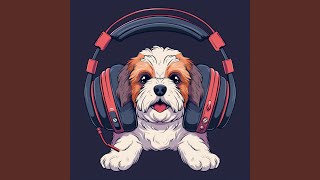 Canine Harmony Tune