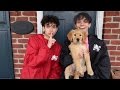 SURPRISING TWIN WITH A PUPPY! (PRANK)