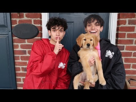 surprising-twin-with-a-puppy!-(prank)