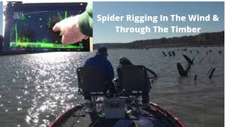 Spider Rigging In The Wind & Through The Timber #24 (11-7-2020