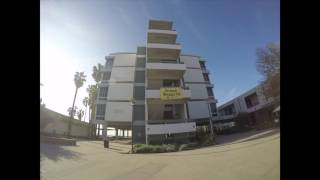 RICK BARAJAS SUMMER BRIDGE
