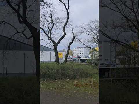 Hanau Germany walking tour