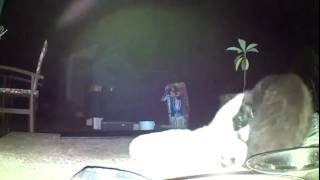 Blink Home Monitor Proves Cats Make Annoying Siblings Too
