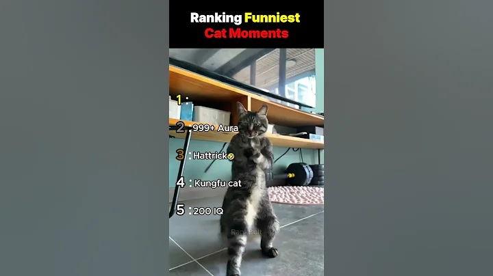 DON'T CHECK THE SOUND 😭😭