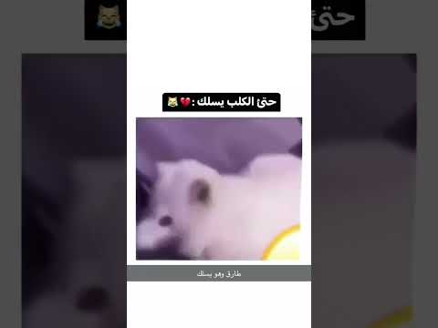 ارسلها لي خويك الي يسلكلك كثير هههههه