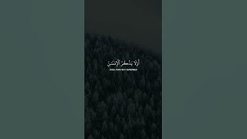 #ناصر_القطامي #تلاوات #القرآن_الكريم #quran #قرآن#تلاوة_خاشعة #القرآن #تلاوة #ايات_قرانيه_قصيره#قرآن