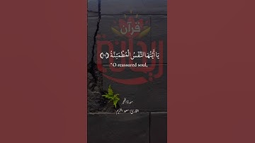 يا ايتها النفس المطمئنة ارجعي إلى ربك راضيةً مرضية.. #سعود_الشريم #ريحانة_قرآن #قرآن #سورة_الفجر