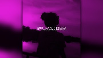 Tu Jaane Na - Atif Aslam [Lofi Version] (Lyrics) WhatsApp Status || Hindi Love Song WhatsApp Status