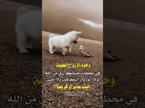 وجود الارواح الطيبه في محطات حياتك رزق من الله حالات عبارات 