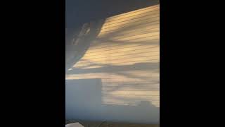 Youtube Shorts Happy Feet Daily Shorts