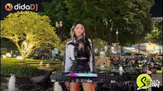 DJ Stella Melodic Techno Mix 2025  11 27