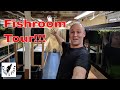 Dan's Fish Room Tour...It's a BIG One!!!!!