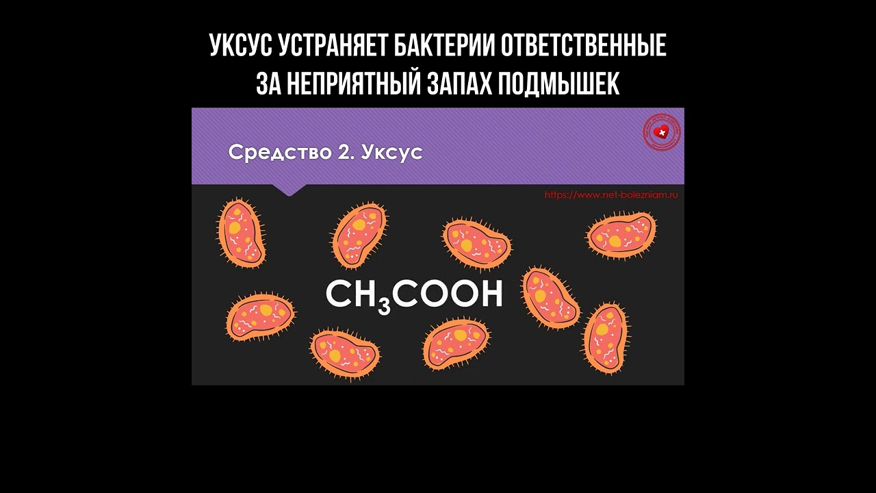 Уксус устраняет бактерии ответственные за неприятный запах подмышек #уксус #гигиена
