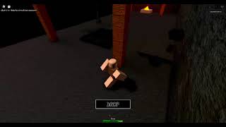 robloxapp 20220511 1743086