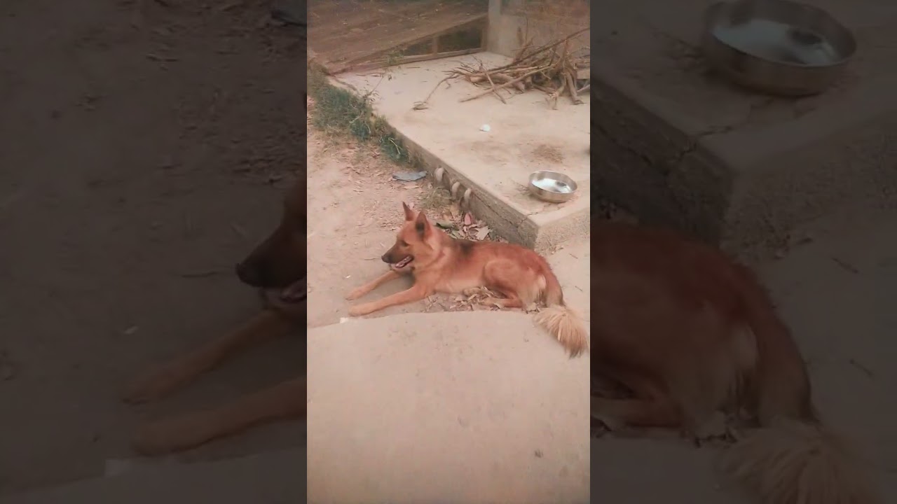 beautiful view of my village 