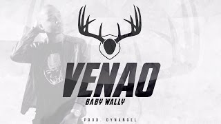 Video Venao Baby Wally