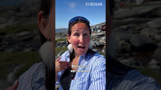Whats The Best Season To Visit Greenland? Day 21 Of 30.