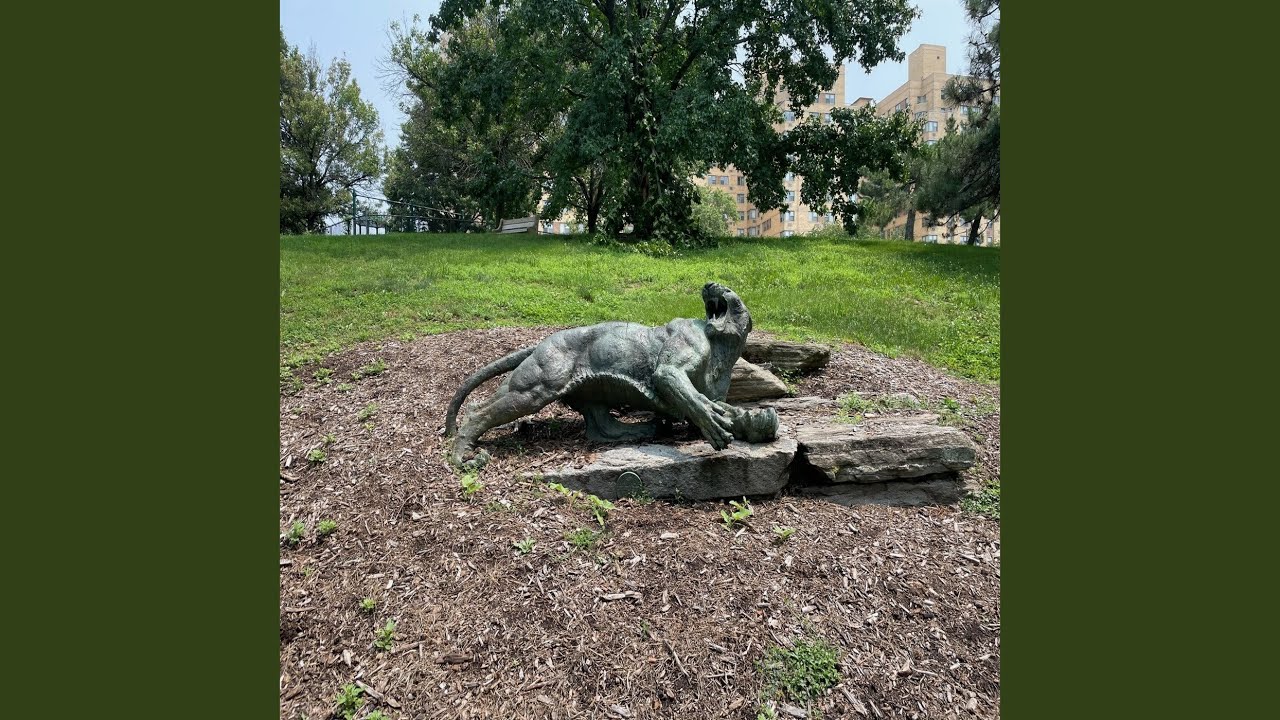 Rem Night Terrors YouTube