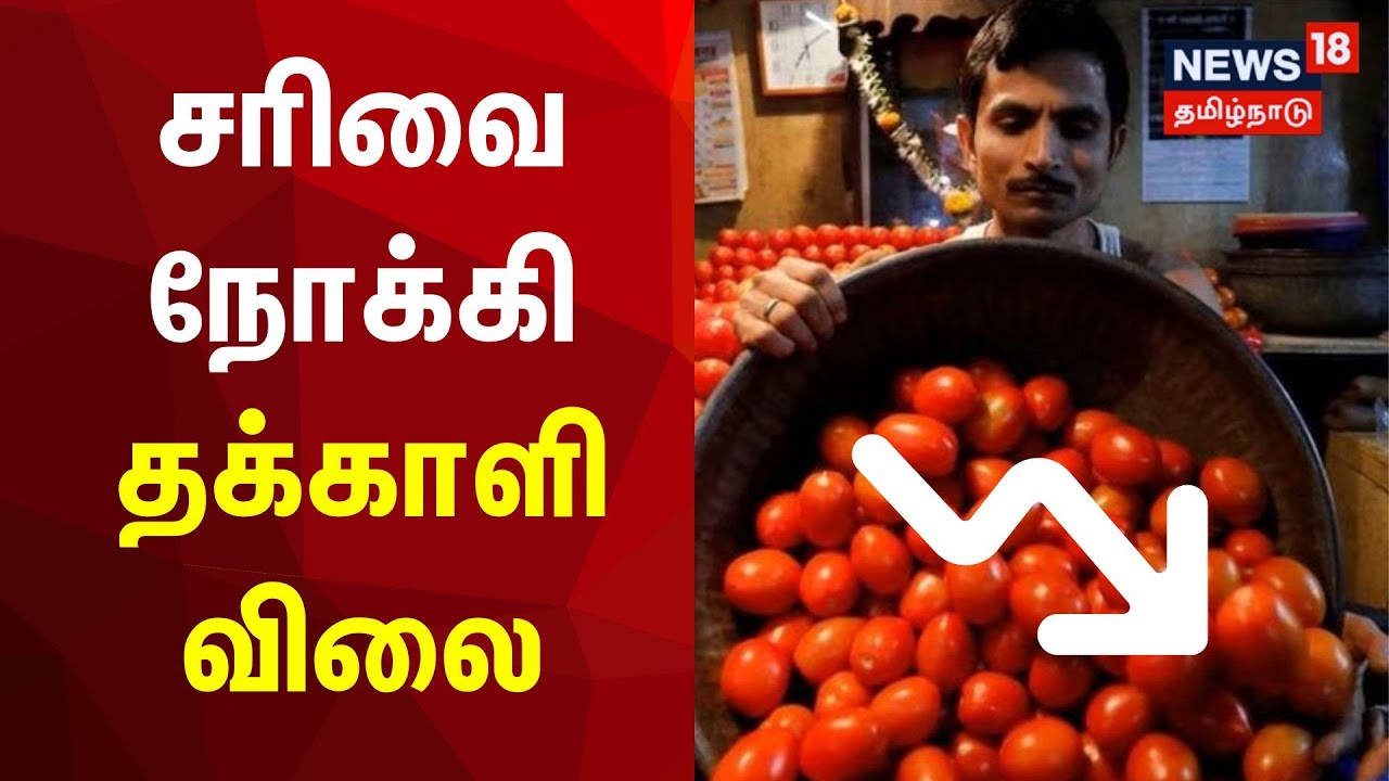 சரிவை நோக்கி தக்காளி விலை Tomato Price Today Coimbatore Tomato
