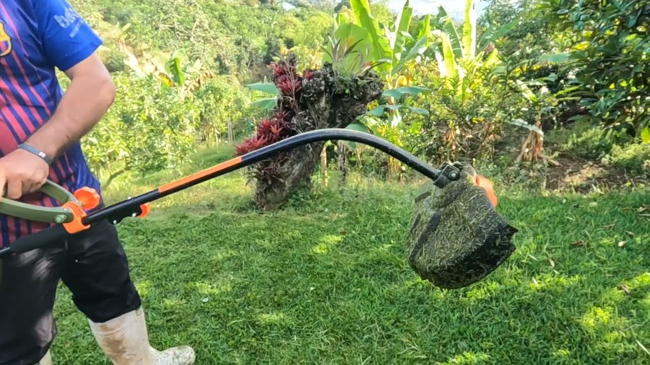 probando guadaña eléctrica bauker 1.000w - YouTube