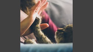 Calming Cat Lofi Harmony