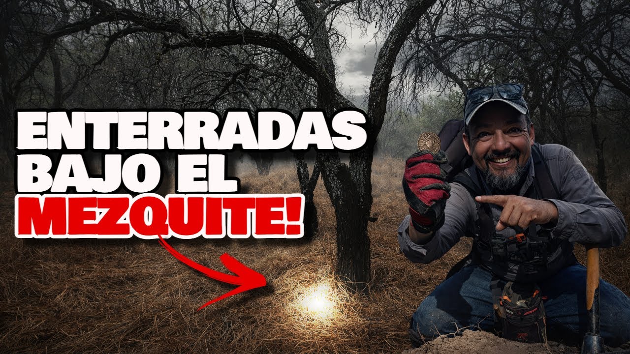 Este Mezquite Guardó el Secreto por Años!