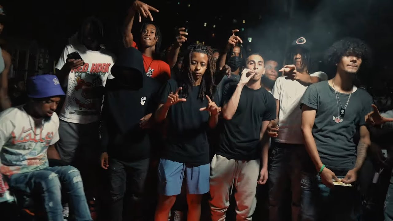 HAVIKK & HIRNTOT POSSE/WORLDWIDE〜/G-RAP Havik Gang - NEW Mo Thugs