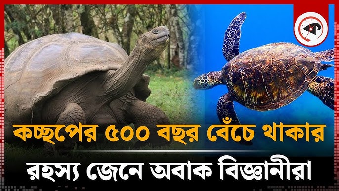 Yalangoch birinchi kurs talabasi