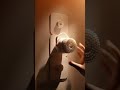 Product Link in Bio ( # 3054 ) ✅ Glide & Scrub Automatic Rotating Shower Body Scrubber