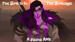 The Bird Is In The Birdcage - A Yasha AMV - The Mighty Nein