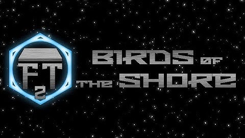 Birds of The Shore E0.5 - Character Creation (Scum and Villainy)