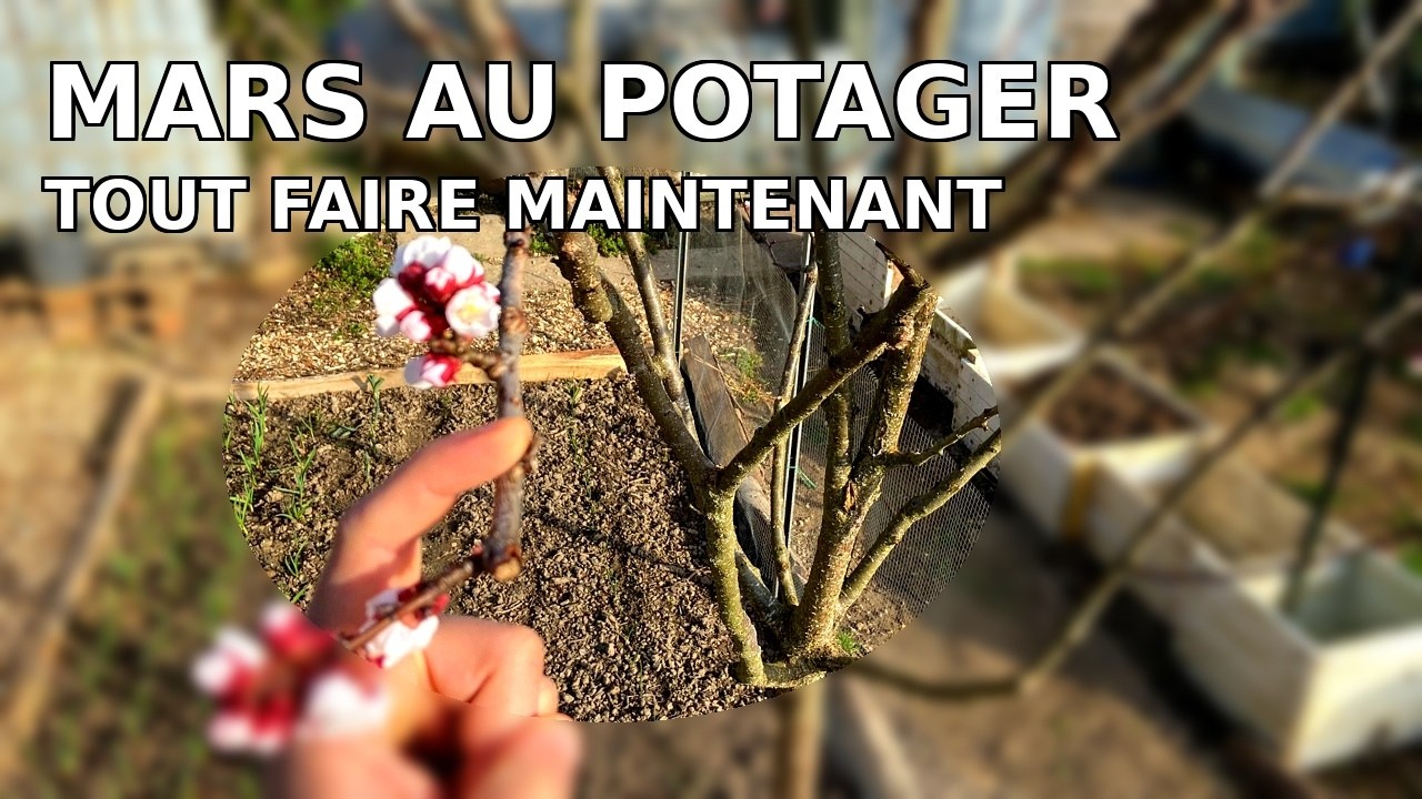 Si vous jardinez en mars, regardez ça !