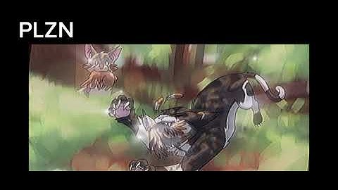 LongTail and SwiftPaw edit :(