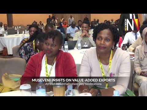 Evening DigitalDigest 20 11 2025