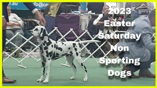 2023 Easter Saturday PM Show  Non Sporting Dogs