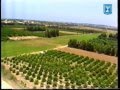 Download דוד בן גוריון סדרת גדולי העם היהודי - ארכיון המדינה David Ben Gurion, Jewish sages series דוד בן גוריון סדרת גדולי העם היהודי - ארכיון המדינה David Ben Gurion, Jewish sages series