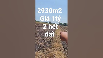 bán 2930m2 đất lúa ấp 3 xã tân ân cần đước Long An  lh 0385986500 hưng