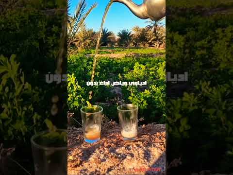 Statu Watsap Imghran Story Imghran ستاتو إمغران واتساب تشلحيت 