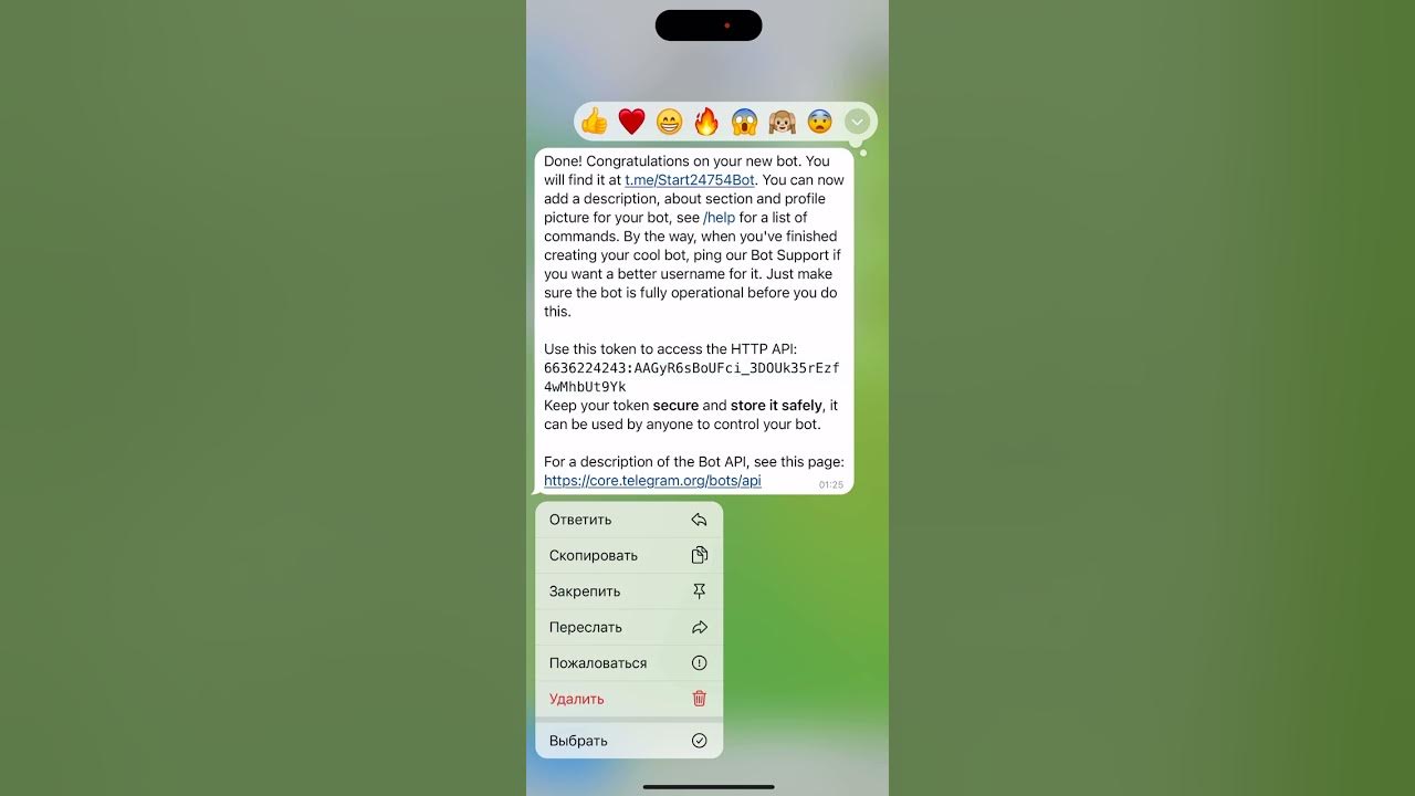 Telegram bot api кнопки. Api бота как. токен api. your_telegram_bot_api_token как выглядит.