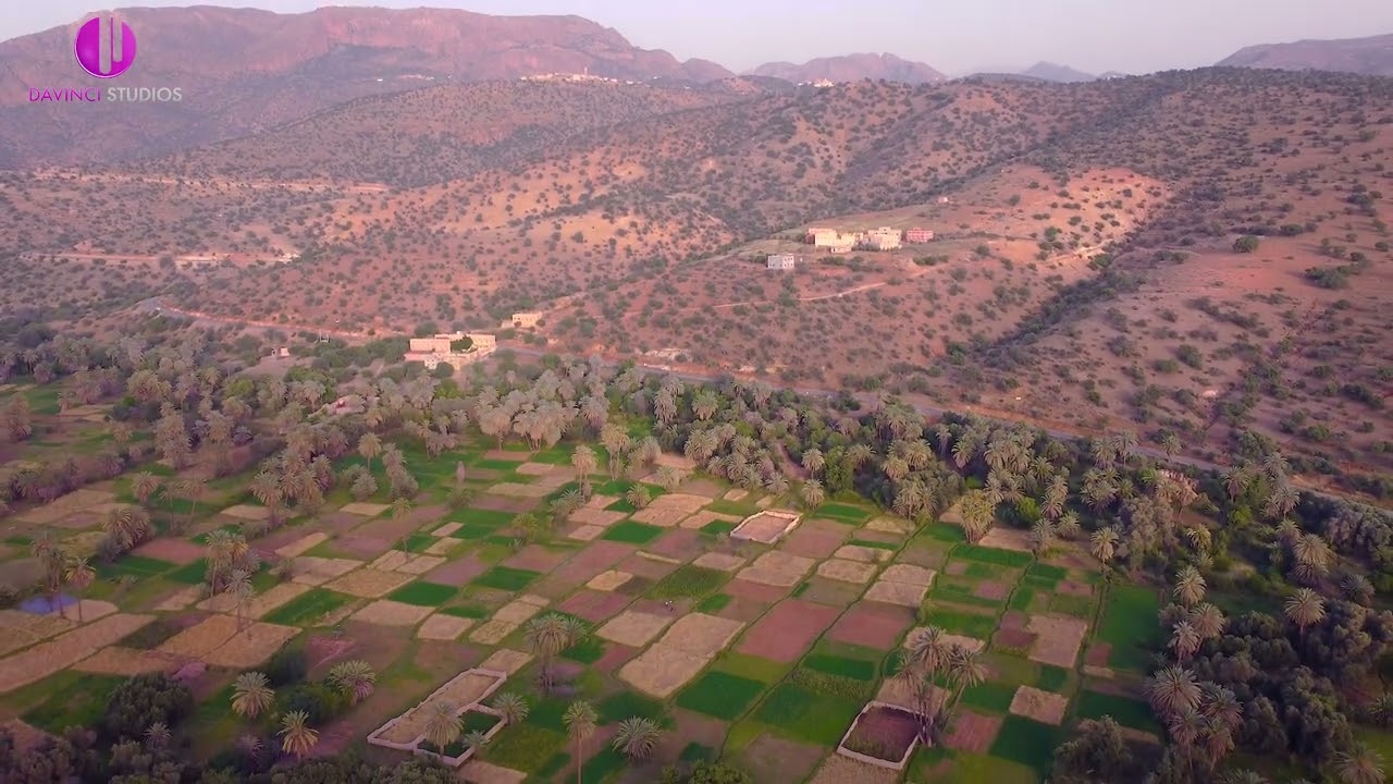 تمازيرت، تالما، الواحات الخضراء الجميلة بقبيلة أيت موسى!