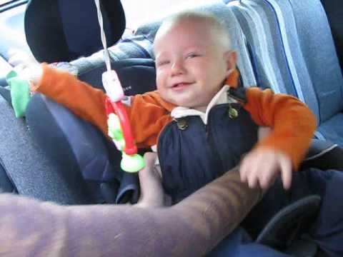 Хипсит "МаБа" и автомобиль