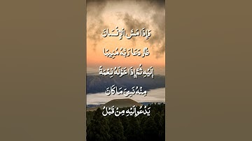 وإذا مس الإنسان ضر دعا ربه منيبا إليه / الشيخ نعمة الحسان / سورة الزمر