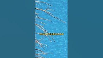 中國著名的神奇九寨溝風光，壹步壹景，世界水景之王，九寨歸來不看水，果然名不虛傳，真乃人間仙境！ #amazing #景點  #traveltip  #travel #旅遊 #amazingchina
